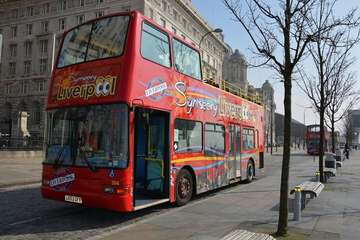 Cruise terminal shuttle
