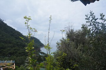 Land view from property