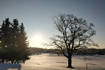 Snowshoeing