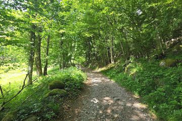 Hiking