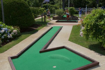 Mini-golf