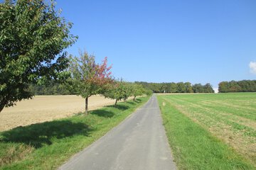 Hiking