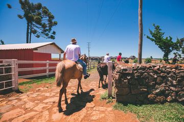 Horseback riding