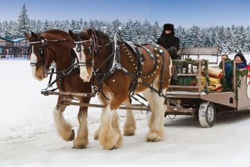 Children's activities