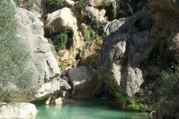 Photo 23