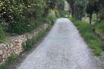 Photo 28