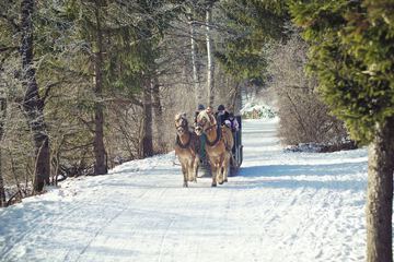 Ecotours