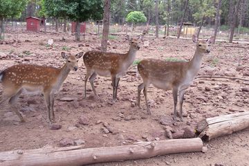 Children's activities