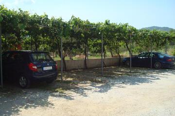 Photo 49