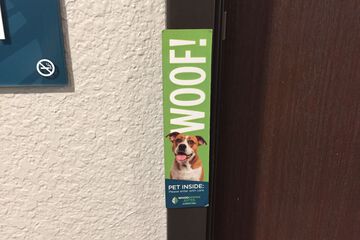 Pet-friendly