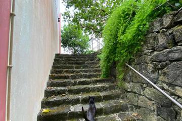 Photo 82