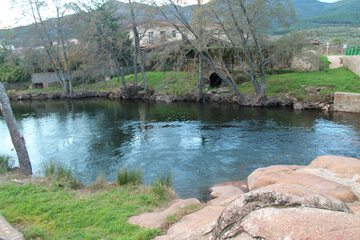 Natural pool