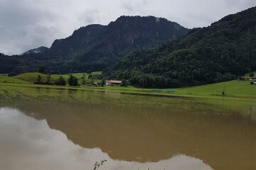 Ecotours