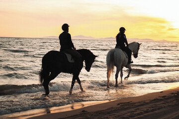 Horseback riding