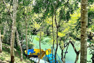 Waterslide