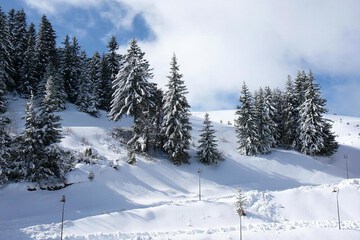 Snow and ski sports