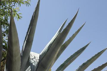 Photo 32