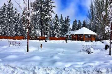 Bear Creek Resort