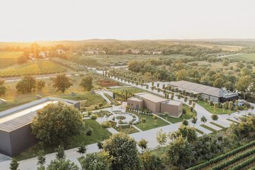 Winery