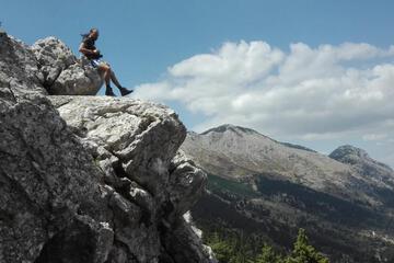 Photo 41