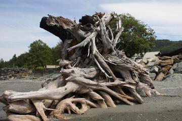 Photo 48
