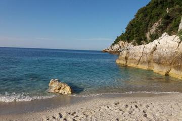 Photo 41