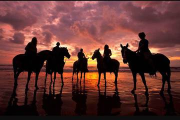 Horseback riding