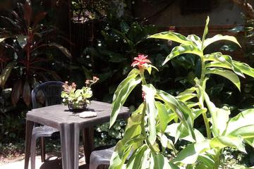 Photo 41