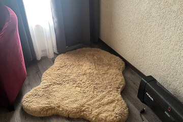 Pet-friendly amenities