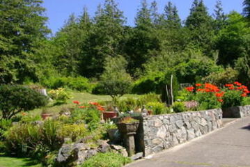 Terrace or Patio