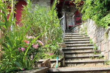 Photo 24