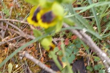 Photo 57