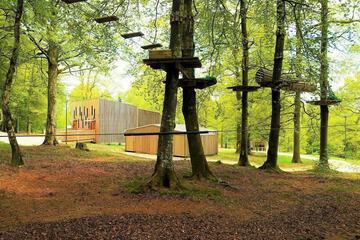 Ropes course (team building)