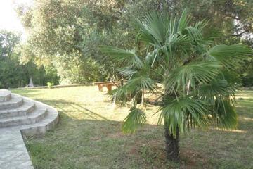 Photo 49