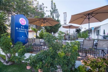 Terrace/Patio 29 of 33