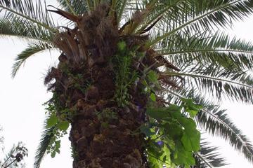 Photo 49
