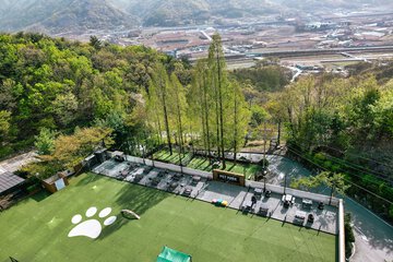 Park view