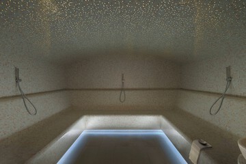 Steam room