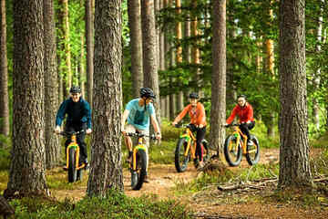 Photo 44