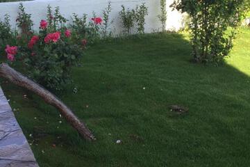 Photo 29