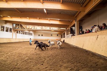 Sports facility