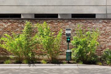 Pet-friendly amenities