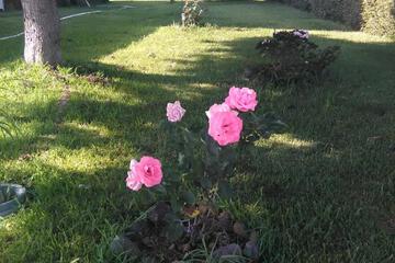 Photo 30