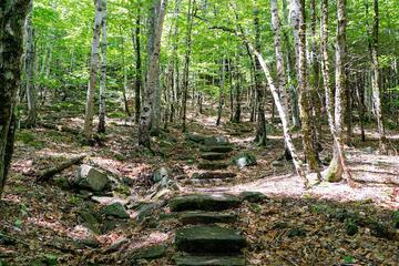 Hiking