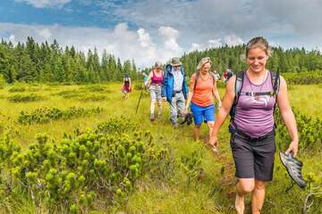Hiking