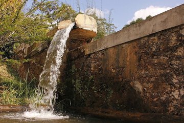 Natural pool
