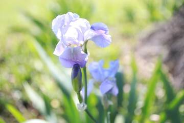 Hotel Exterior 47 of 61