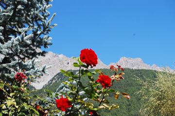Mountain view