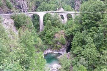 Photo 45