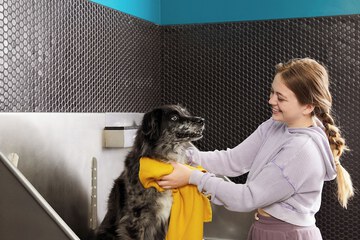 Pet-friendly amenities